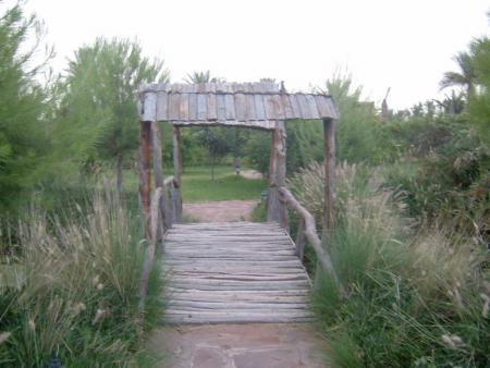 Territoire des grenouilles